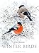 Winter Birds