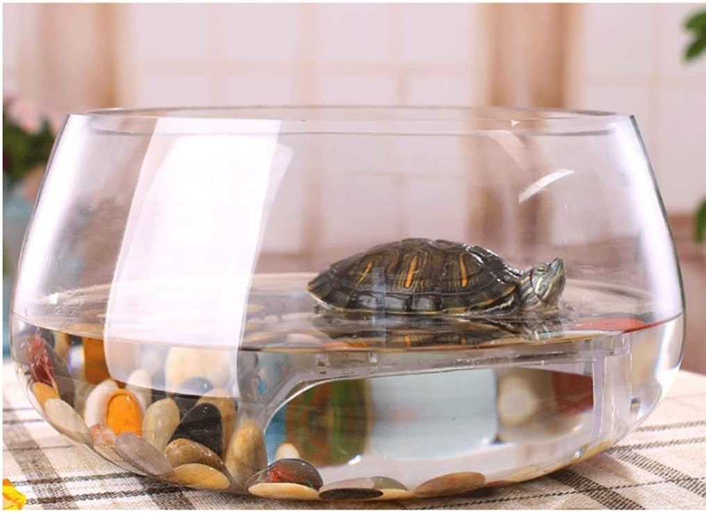 Fish Tank Creative Round Transparent Glass Fish Tank Aquarium Home Office Fish Tank Aquarium Living Room Desk Aquarium Decoration Glass Fish Tank(22cm)