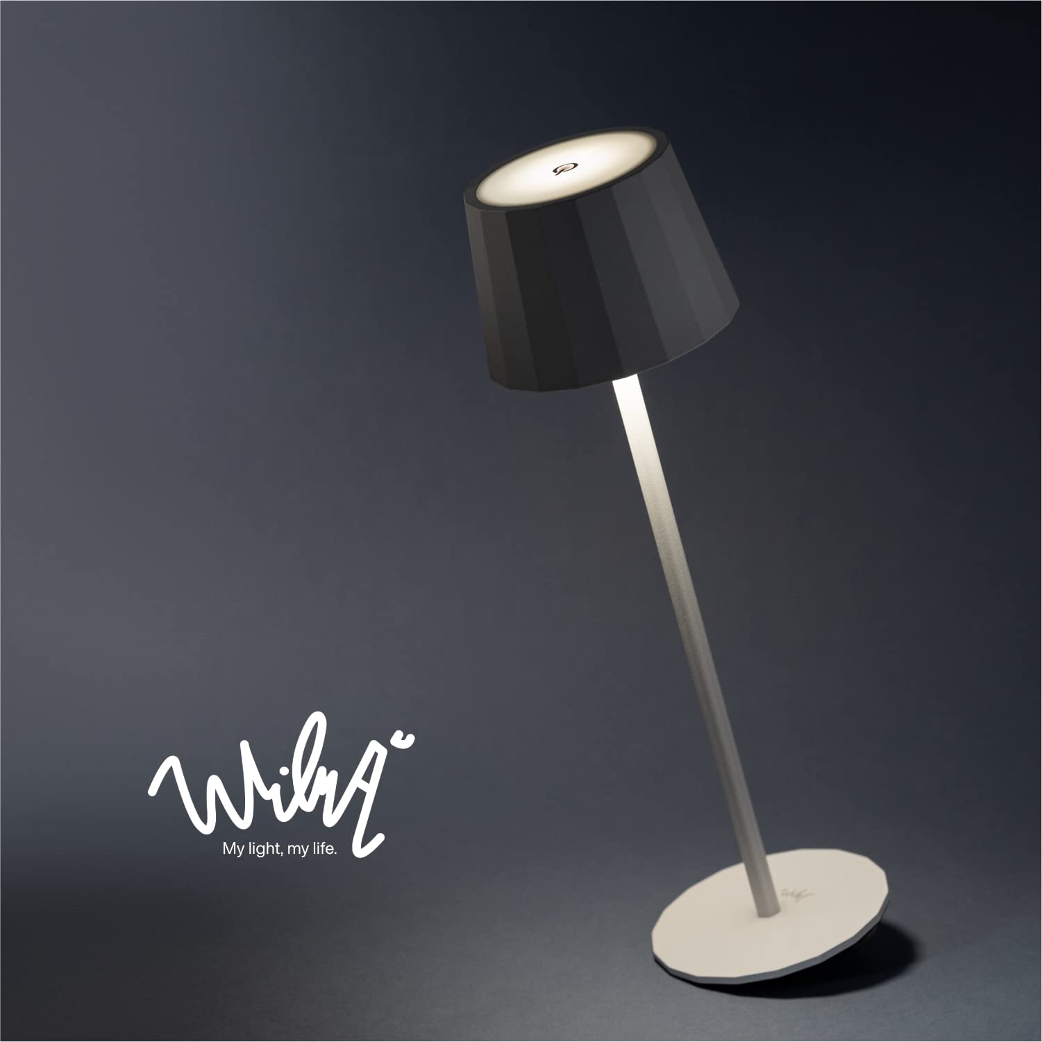 Classic Lampada da Tavolo Design Senza Fili Impermeabile IP54 in Alluminio Autonomia 23 Ore, Lampada Dimmerabile Led Senza Fili Ricaricabile con Touch Control, 5200 mAh (Antracite)