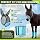 Set Mini Máscara para Burro con Orejas y 4 Botas contra Moscas, Azul miniatura 3