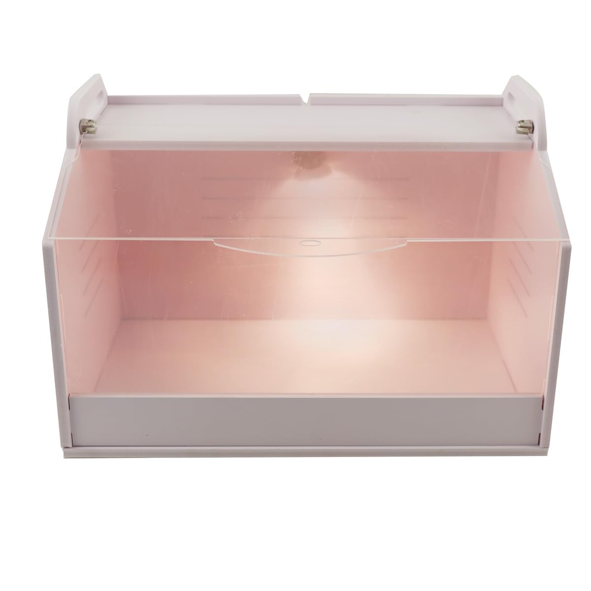 Incubatore per Pulcini con Termometro e Lampada, Scatola di Calore per Pulcini, Scatola di Allevamento per Pollame, Rettili e Piccoli Animali 220V