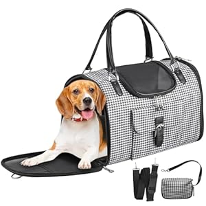 Cat, Dog Carrier for Small Medium Cats Puppies up to 15 Lbs, Airline Approved Pet Carrier Soft Sided with Safety Zippers, Collapsible for Travel, Walk, Veterinary Visit 15.7*10.2*7.8 inches