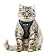 Katzengeschirr Easy Walking Katzengeschirr 2.0 ausbruchsicher, verstellbar, Nicht über Kopf Bengal, Maine Coon kleine und große Katzen (Grau, M)
