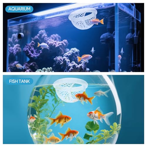 Image of Betta Fish Hideout, Floating Aquarium Decor, Fish Tank Decorations, Shrimp and Betta Cave, Aquarium Feeding Ring, Water-borne Pets to Breed, Play and Rest(White)