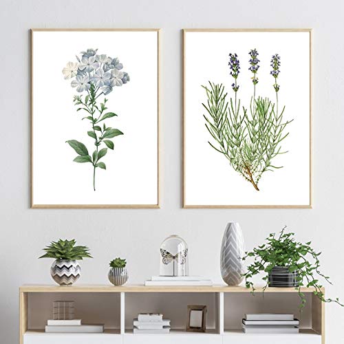 Bleu Plumbago Plante Botanique Affiche Vintage Lavande Aquarelle Décoration Murale Toile 50x70