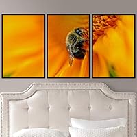 3 Piece Framed Canvas Wall Art Colorful Bee Insects Canvas Prints Home Artwork Decoration for Living Room,Bedroom - 16