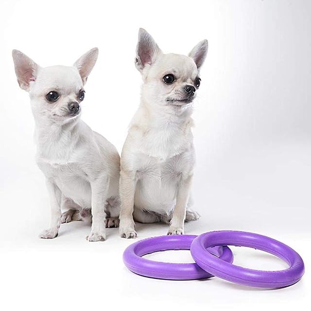 Foto 5 de 5 de Ferplast Juguete Perro, Anillo de Entrenamiento Perros para Masticar, Correr, Saltar, Disparar, Robusto