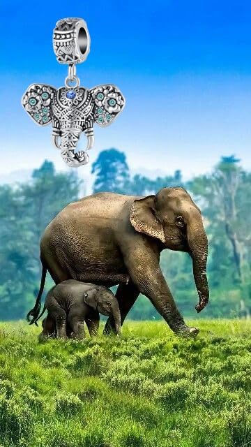 Lucky Elephant Charm Compatible with Pandora Bracelet Good Luck Animal Dangle Bead for Mom Daughter Sister Women Birthday - Image 6
