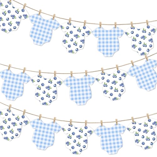 Blueberry Themed Baby Shower Bunting Banners Blue Checkered Onesie Garland with Wooden Clips for Berry First Birthday Sweet One Boy Party Decorations
