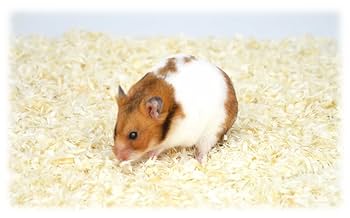 ジャンク品 ノンジャンル 小物グッズ 約700個 大量まとめ売り ② 長傘 レディース 軽量 丈夫 通販 雨傘 傘 60cm ブランド nifty