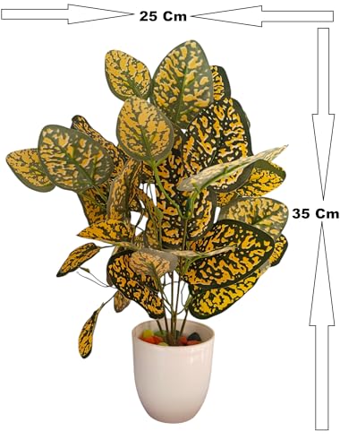Image of Natural Looking Artificial Money Plant /Tree with Pot | Ornamental Plant for Interior Decor | Home /Shop /Office Decor (Yellow-New)