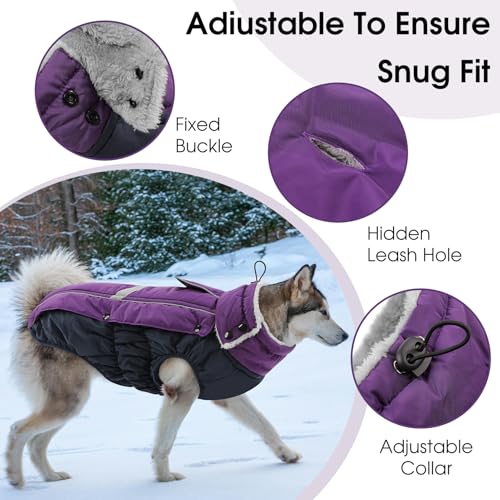 CITÉTOILE Hundemantel Wasserdichter, Hundejacke Winddichte Wintermantel Hund Outfit mit Reflektierender Streifen und Reißverschluss, Lila, M