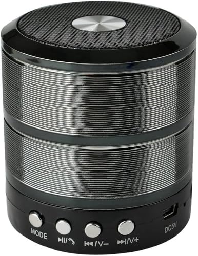 Image of Mini Bluetooth Speaker WS 887 with FM Radio, Memory Card Slot, USB Pen Drive Slot, AUX Input Mode, Compatible with All Devices-Red 5 W Bluetooth Speaker. (Black)