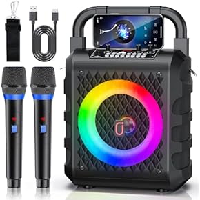 ワイヤレスマイクセット 2本 ワイヤレスマイク カラオケ 2本セット ダイナミックマイク