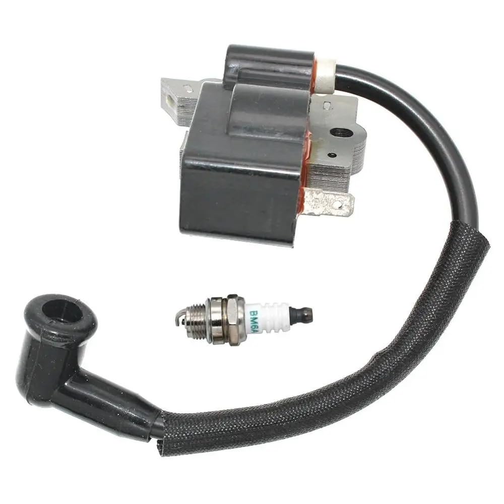 Compatible con determinados Modelos, incluidos XT125K X T125T WT3100 BC30B 176 196 PP111 Equipo de energía Exterior