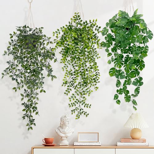 Hängende Pflanzen Topf – Die 15 besten Produkte im Vergleich