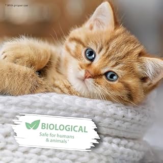 Spray enzimi urina gatto 750 ml – Pipi-Gone di ARKA – elimina odori e macchie di urina, feci e vomito – biologico e sicuro per gatti – per lettiera, tappeti, divano, tessuti – senza profumi chimici