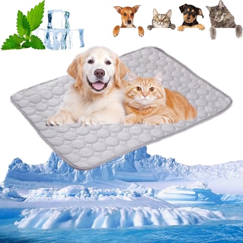 JUNENTER LpN[}bg ppN[}bg ėppN[pbh ybgpACXVNZtN[pbh 􂦂 ^A^A^ALp (uEAM)