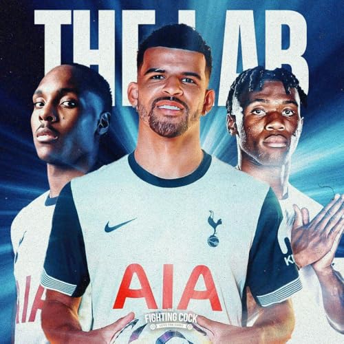 S2E31 | The Tottenham Hotspur Squad Audit