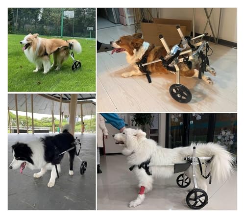 Fauteuil roulant pour chien arthrite et problème mobilité - 3