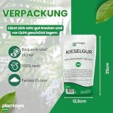 PLANTAWA Kieselgur Pulver 1kg | Hochwertiges Diatomeenerde für den Gemüsegarten, Schädlingsbekämpfung, Saatgutkonservierung | Nachhaltig und Rein, Verpackung kann variieren