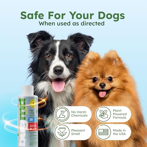 Image of BugMD Flea and Tick Concentrate (3.7 oz, 2 Pack) - Essential Oil Formula for Dogs, Controls Fleas, Ticks & Mites, Safe for Pet Beds, Kennels & Home Use