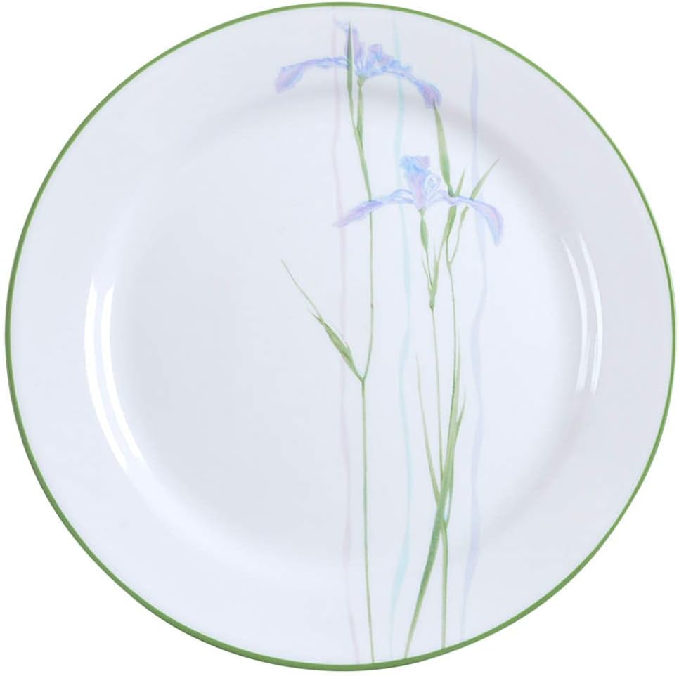 Corelle Impressions 10-1/4-Inch Dinner Plate, Shadow Iris
