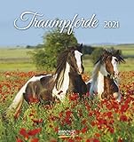  Traumpferde 2021: aufstellbarer Postkartenkalender