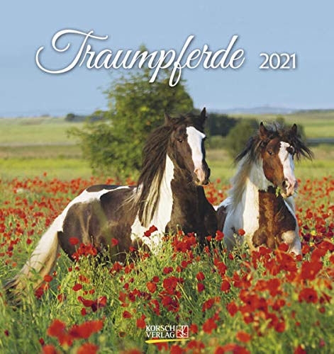 Traumpferde 2021: aufstellbarer Postkartenkalender : Korsch Verlag 