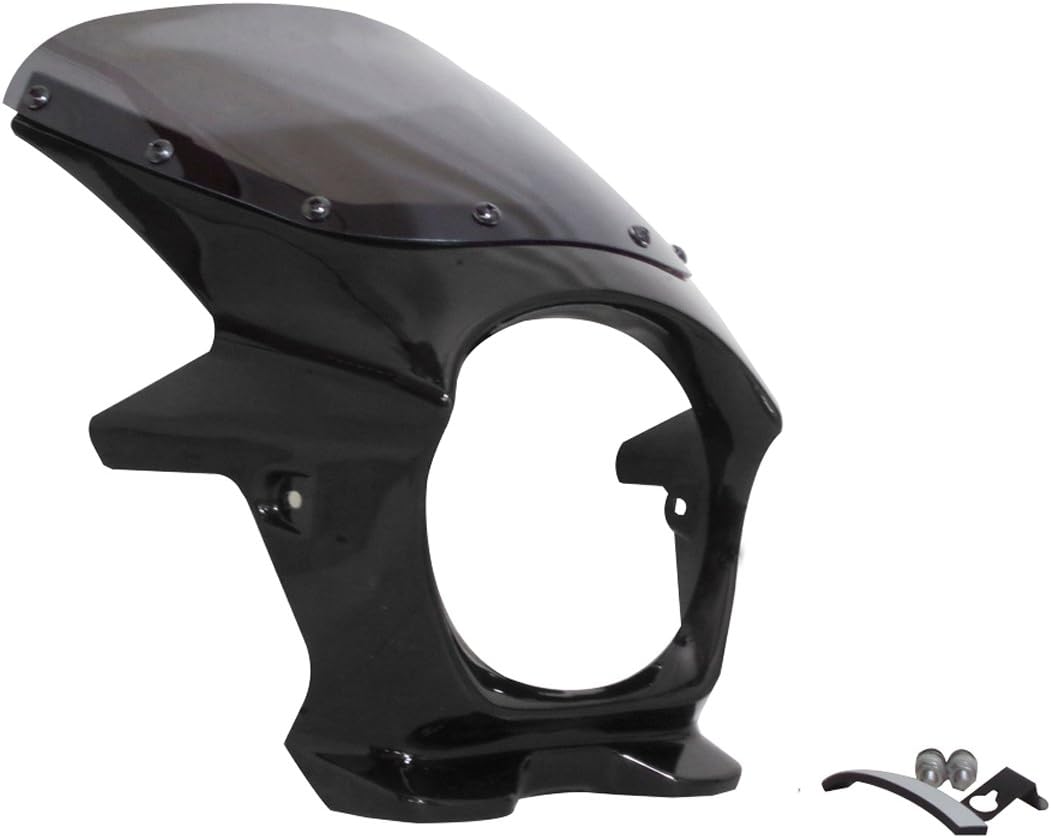 2025年 エリミネーター400SE ビキニカウル 公式通販サイト