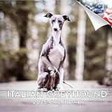 Italian Greyhound Calendar 2019 - Dog Breed Calendar - Wall Calendar 2018-2019
