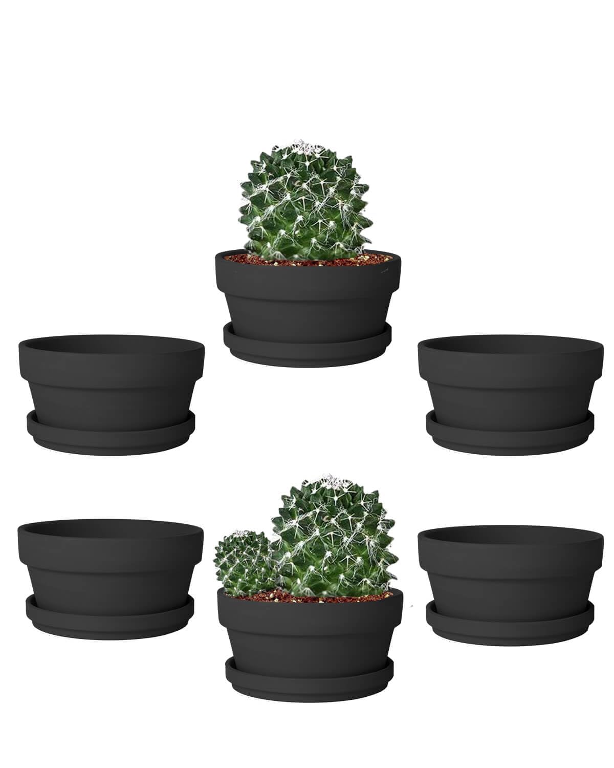 vensovo 5.7 Inch Black Terracotta Shallow Succulent Pots - 6 Pack Terra Cotta Clay Pot with Saucer, Cacuts Indoor and Outdoor Planters with Drainage