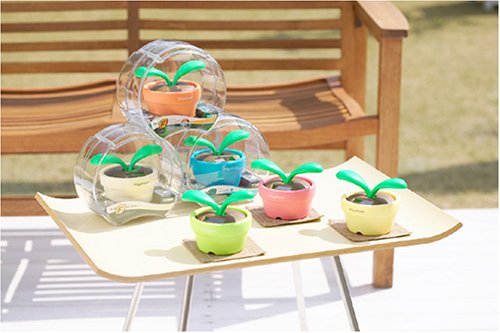 希少　レア　TOMY　フリップフラップ　5個　2003年製　FlipFlap 2025年最新】フリップフラップ タカラトミーの人気アイテム