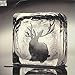 Miike Snow [Vinyl]