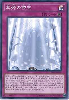 51XPPm5WE5L._AC_UF350,