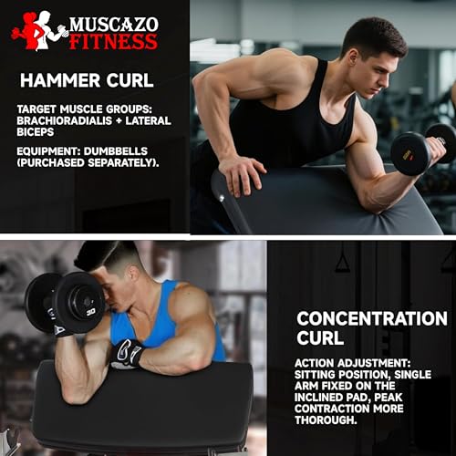 Image of Preacher Curl Bench for Home Gym, Adjustable Biceps & Arm Curl Bench with Heavy-Duty Steel Frame, Thick Padded Arm Rest, Stable Base for Dumbbell & Barbell Bicep Training