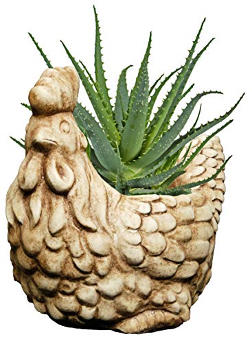 Classic-Home-and-Garden-Cement-Buddies-Indoor-Outdoor-Rooster-Chicken-Planter-Tan-5in Classic Home and Garden Cement Buddies Indoor Outdoor Rooster Chicken Planter Tan 5in