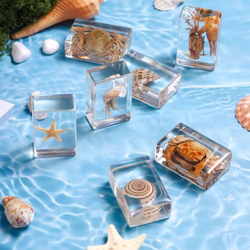 image for Pokiphip 12 Pcs Real Ocean Animal & Insect Specimens in Resin - Educat