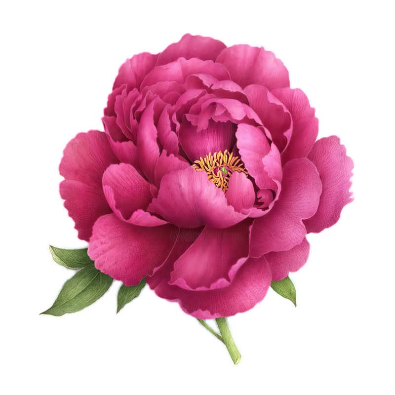 Decalcomanie amovible rhododendron magnolia sticker frigo et toilette repositionnable