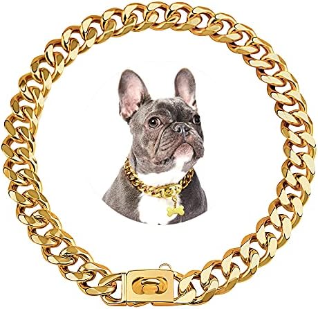 dog chain collar amazon
