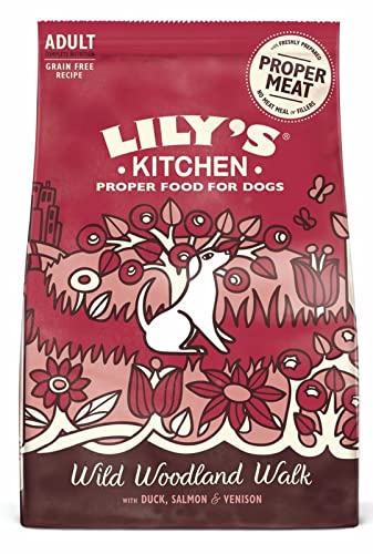 Lily's Kitchen 180926/2321 Wild Woodland Walk Grain-Free Dry Food for Dogs 1 kg