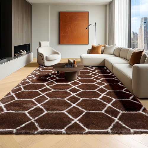 ONASAR 6x9 Area Rugs for Living Room Bedroom, Large Fluffy