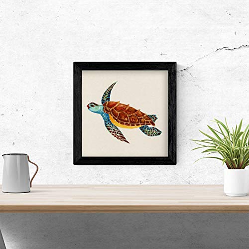 Nacnic Poster cuadrado con dibujos de ranas y tortugas. Lámina Tortuga viajera, ilustrada con dibujos de tortugas, ranas, y sapos. Imagen cuadrada con dibujos de animales. Tamaño 20x20 con marco