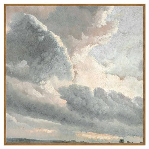 InSimSea Square Framed Canvas Wall Art, Vintage Nature Wall Decor,