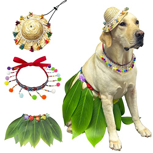 Disfraz de verano hawaiano 3 piezas para perros grandes