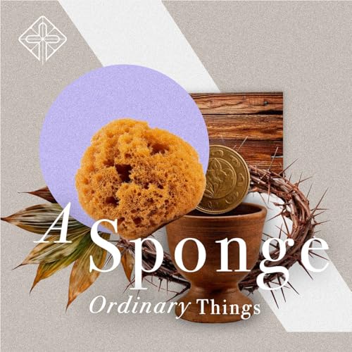 Ordinary Things: A Sponge