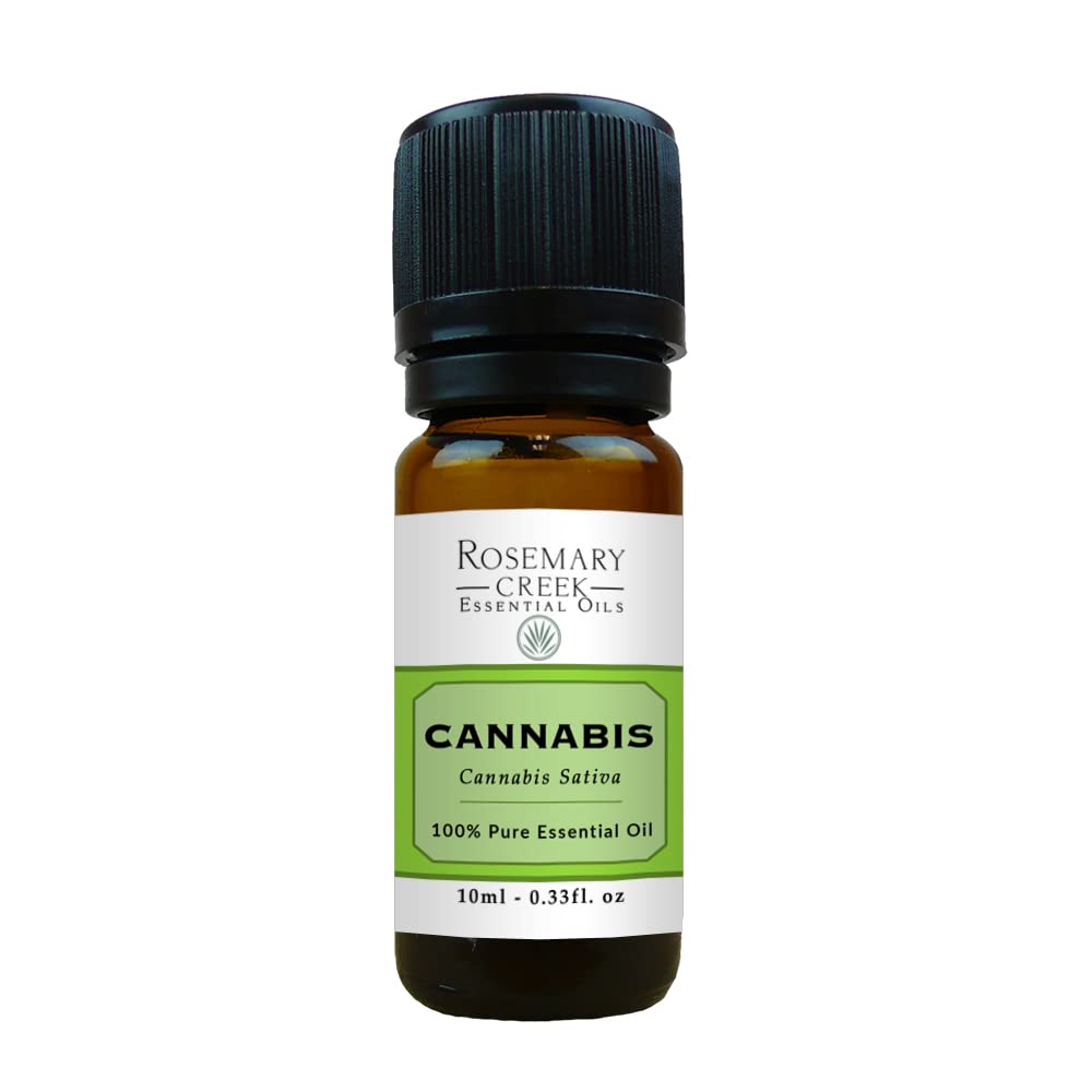 Amazon.com: Cannabis Essential Oil (Cannabis Sativa) – 100% Pure and  Natural – Great Relaxing Properties – by Rosemary Creek Essential Oils (10  ml (0.33 Fl. oz)) : Everything Else