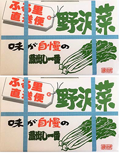 信州長野 ふる里直送便 野沢菜 700g 2箱セット