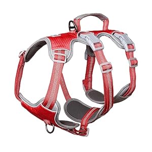 Huntboo Harnais Anti-évasion pour Chien, Har...