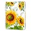 Sunflower 1